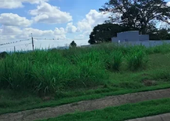 Captura-de-tela-de-2025-05-19-22-18-10